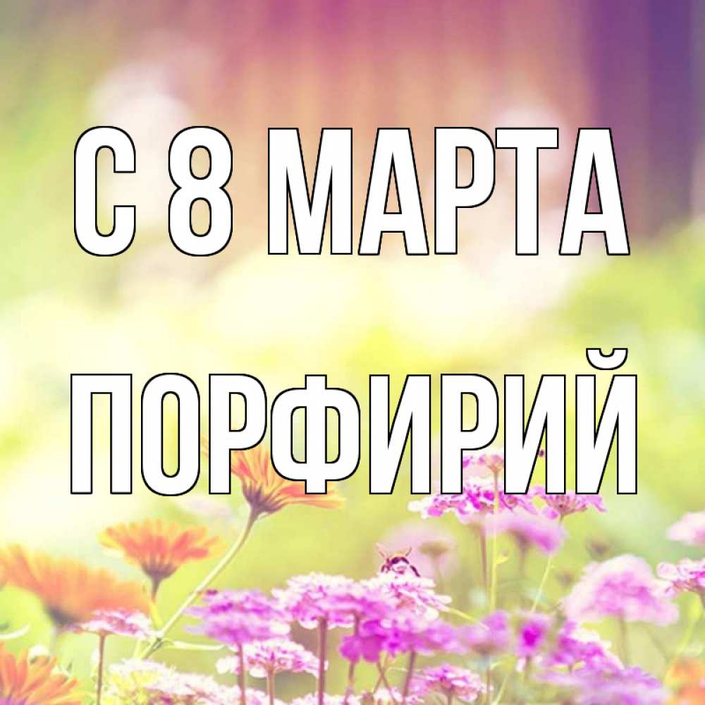 Открытка на каждый день с именем, Порфирий С 8 МАРТА цветы весна Прикольная открытка с пожеланием онлайн скачать бесплатно 