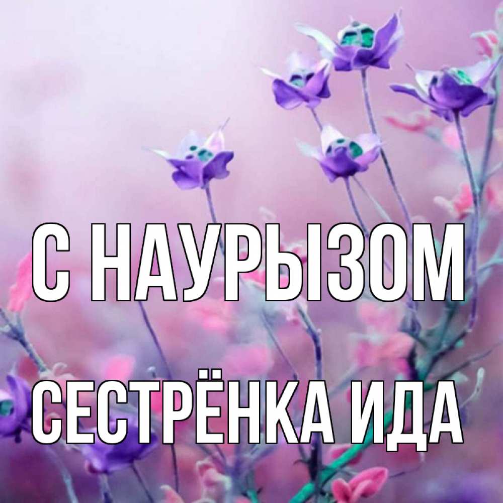 Открытка на каждый день с именем, Сестрёнка-Ида С наурызом международный женский день 2 Прикольная открытка с пожеланием онлайн скачать бесплатно 