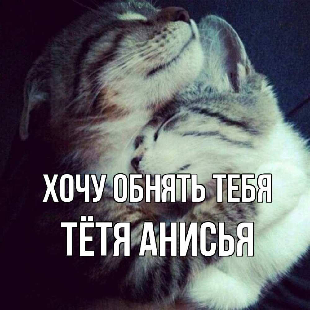 Открытка на каждый день с именем, Тётя-Анисья Хочу обнять тебя полосатики Прикольная открытка с пожеланием онлайн скачать бесплатно 