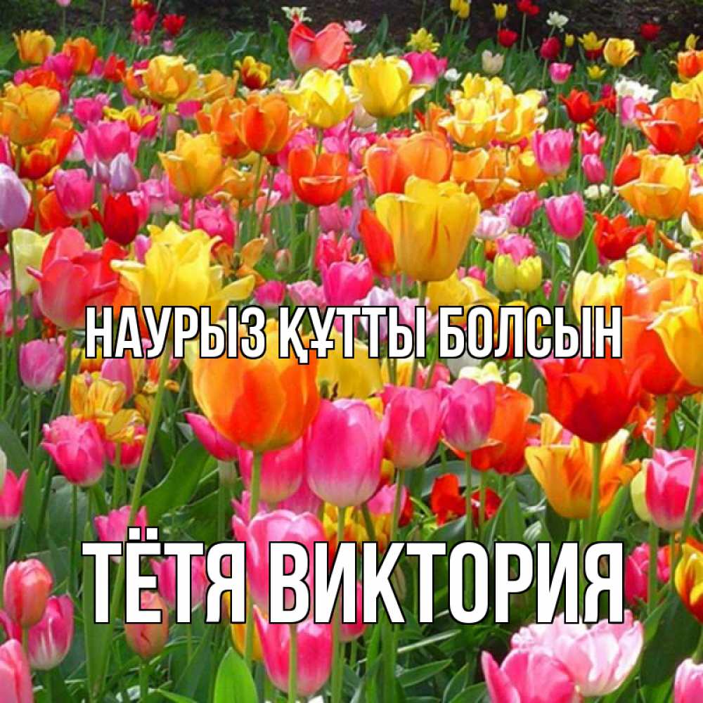 Открытка на каждый день с именем, Тётя-Виктория Наурыз құтты болсын на наурыз  ура ура Прикольная открытка с пожеланием онлайн скачать бесплатно 