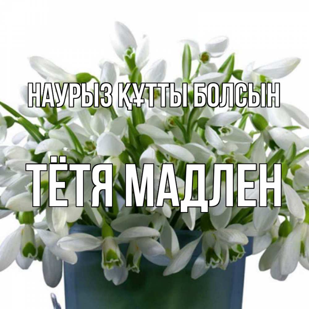 Открытка на каждый день с именем, Тётя-Мадлен Наурыз құтты болсын цветы к наурызу Прикольная открытка с пожеланием онлайн скачать бесплатно 