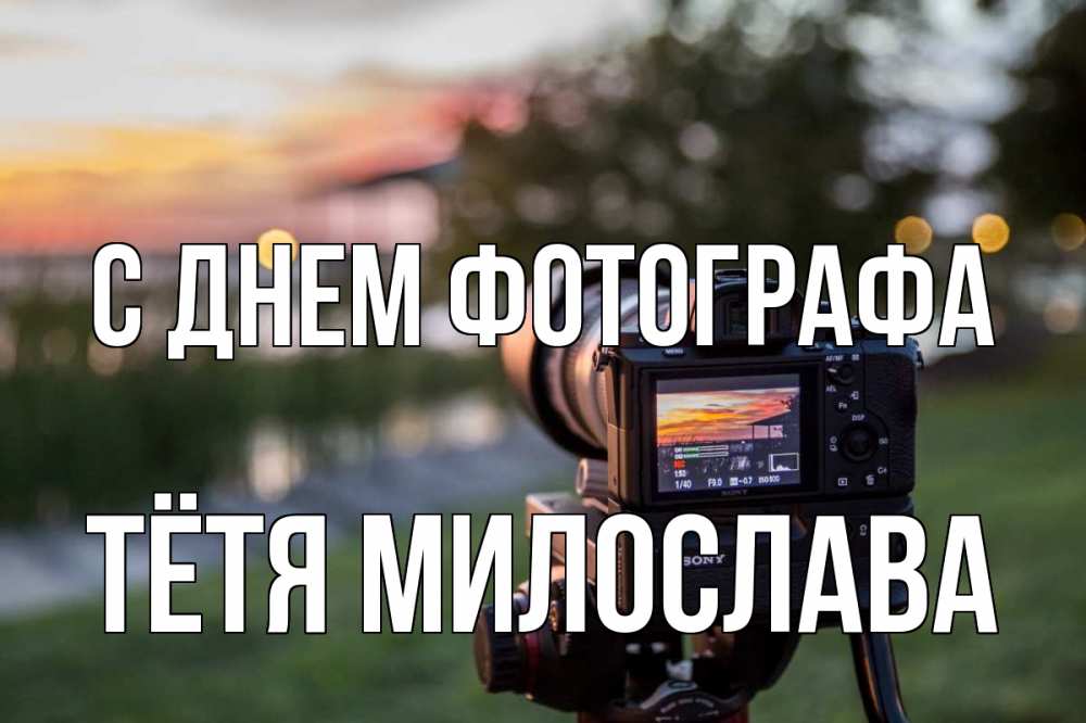 Открытка на каждый день с именем, Тётя-Милослава С днем фотографа с днем фотографа Прикольная открытка с пожеланием онлайн скачать бесплатно 