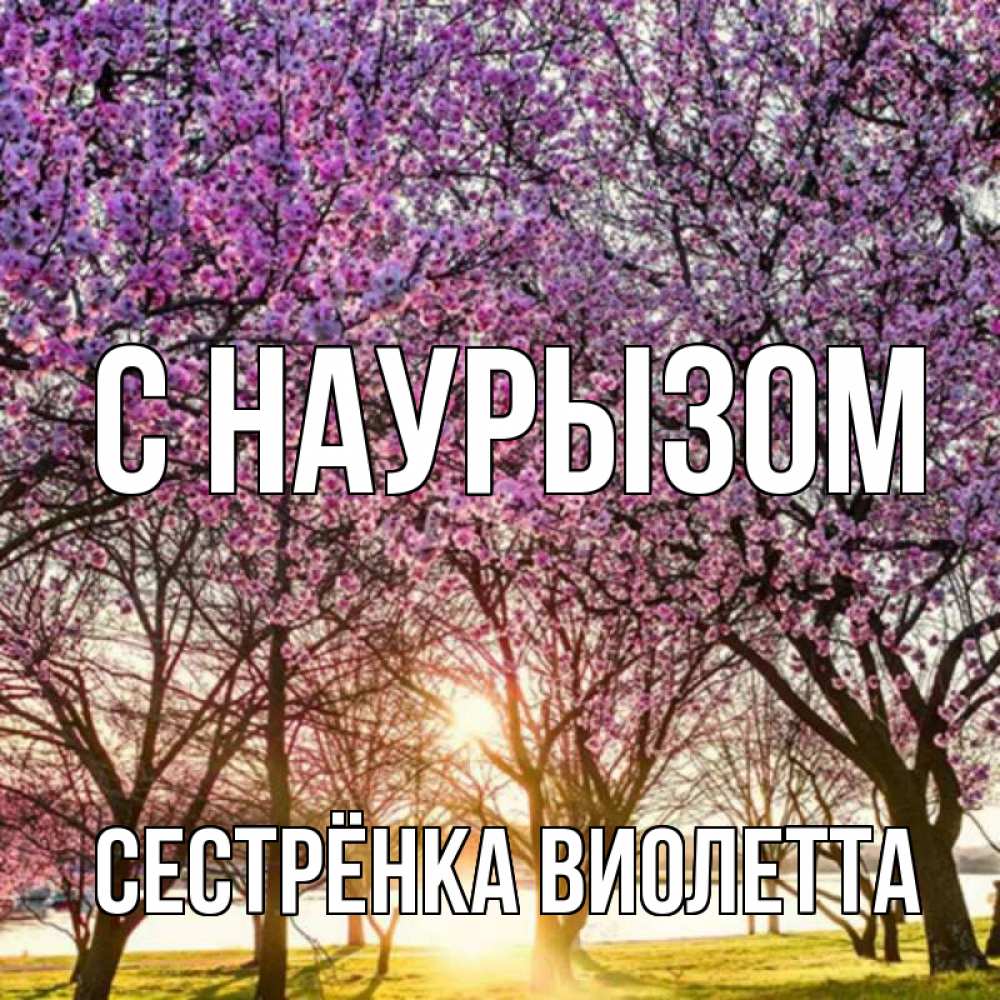 Открытка на каждый день с именем, Сестрёнка-Виолетта С наурызом праздник весны наурыз Прикольная открытка с пожеланием онлайн скачать бесплатно 