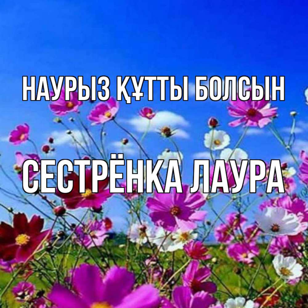 Открытка на каждый день с именем, Сестрёнка-Лаура Наурыз құтты болсын цветы Прикольная открытка с пожеланием онлайн скачать бесплатно 