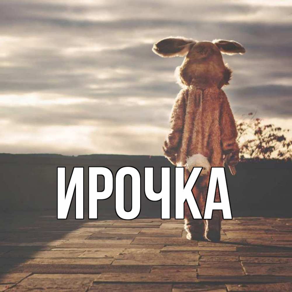 Картинка  с именем , ирочка