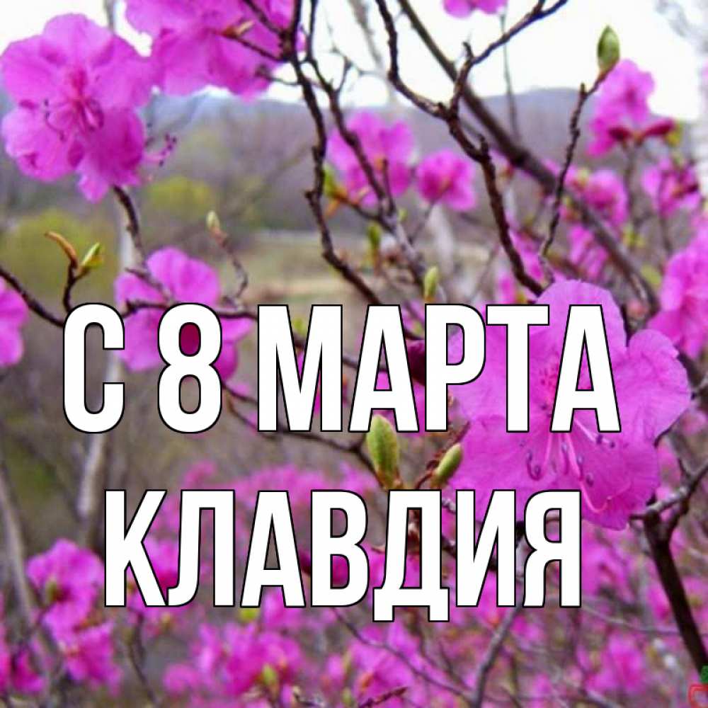 Картинка С 8 марта, Клавдия