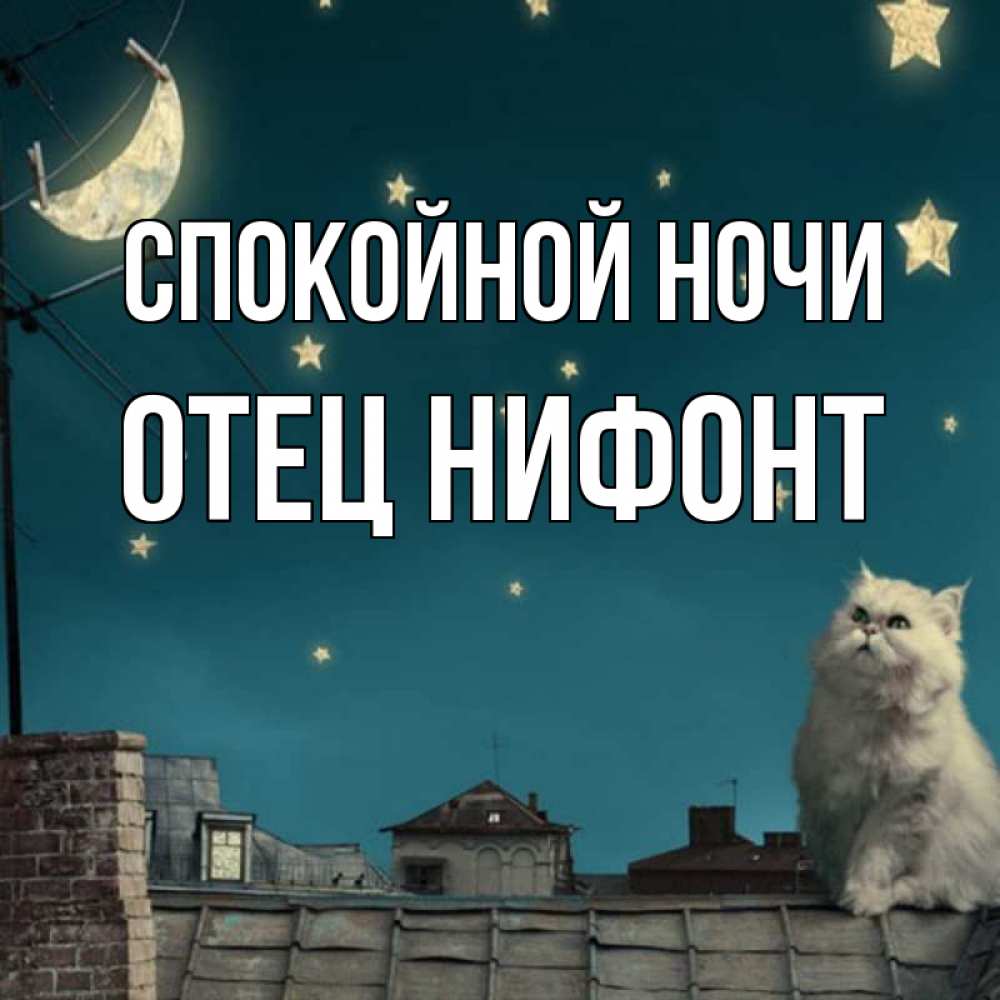 мама и папа ночью. спокойной ночи папа. пожелания спокойной ночи любимому папе.