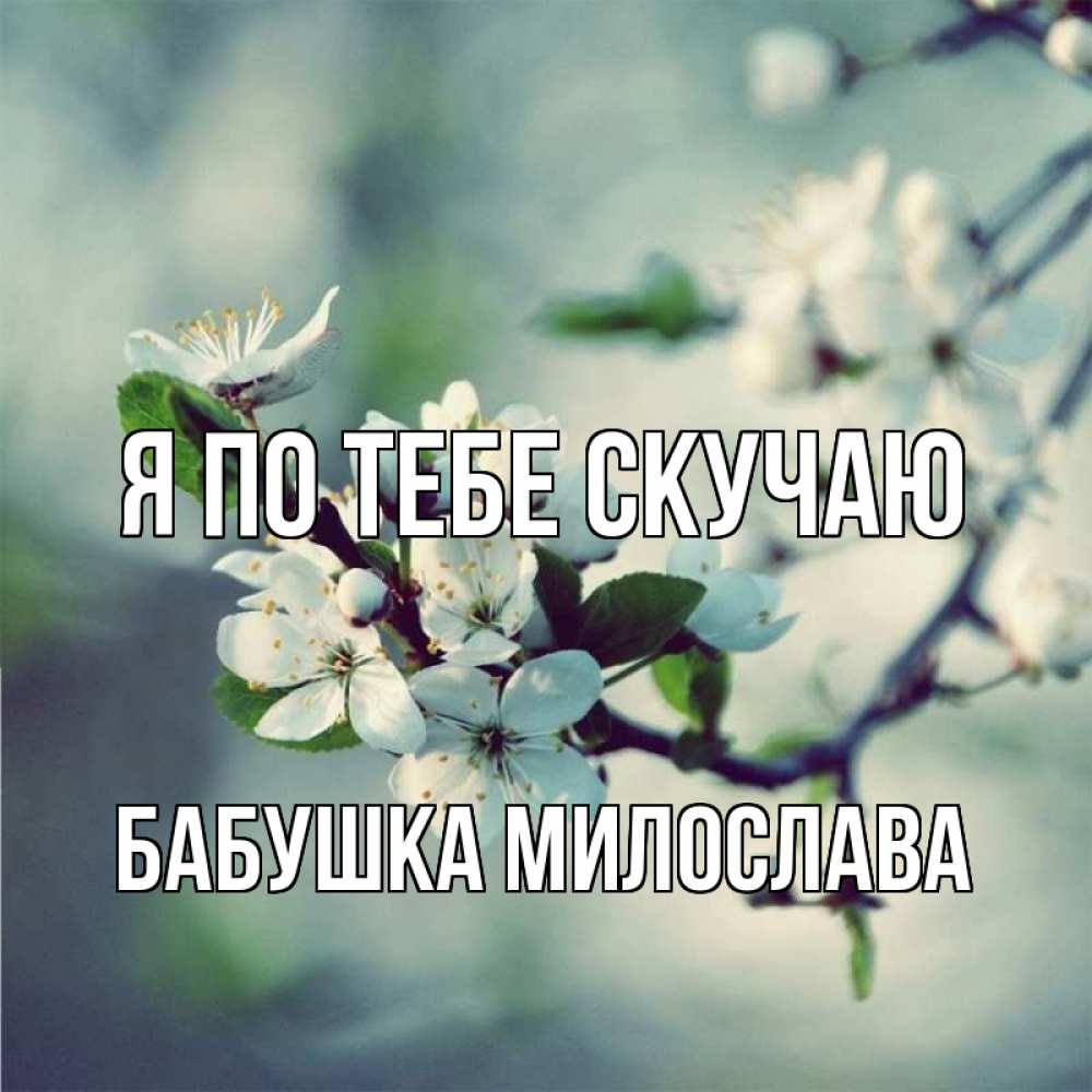 Открытка на каждый день с именем, Бабушка-Милослава Я по тебе скучаю весна Прикольная открытка с пожеланием онлайн скачать бесплатно 