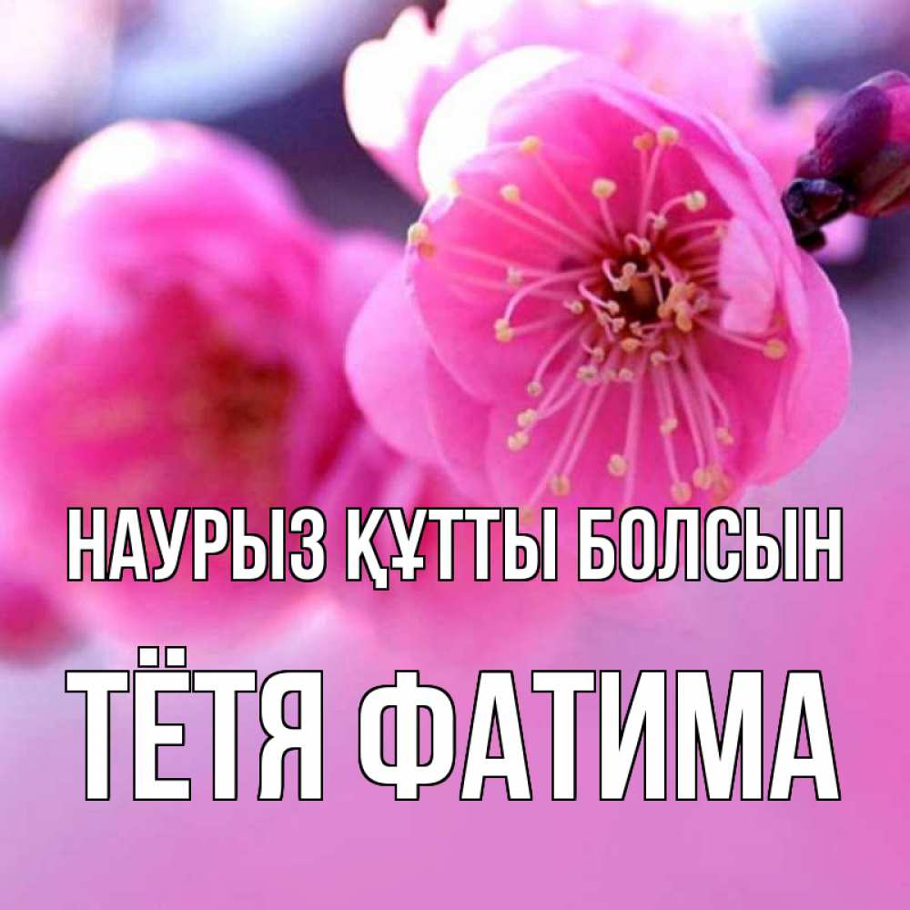 Открытка на каждый день с именем, Тётя-Фатима Наурыз құтты болсын наурыз мейрам Прикольная открытка с пожеланием онлайн скачать бесплатно 