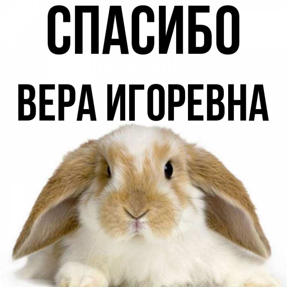 Спасибо Вера