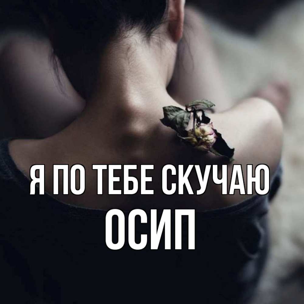 Открытка на каждый день с именем, Осип Я по тебе скучаю засох цветок Прикольная открытка с пожеланием онлайн скачать бесплатно 