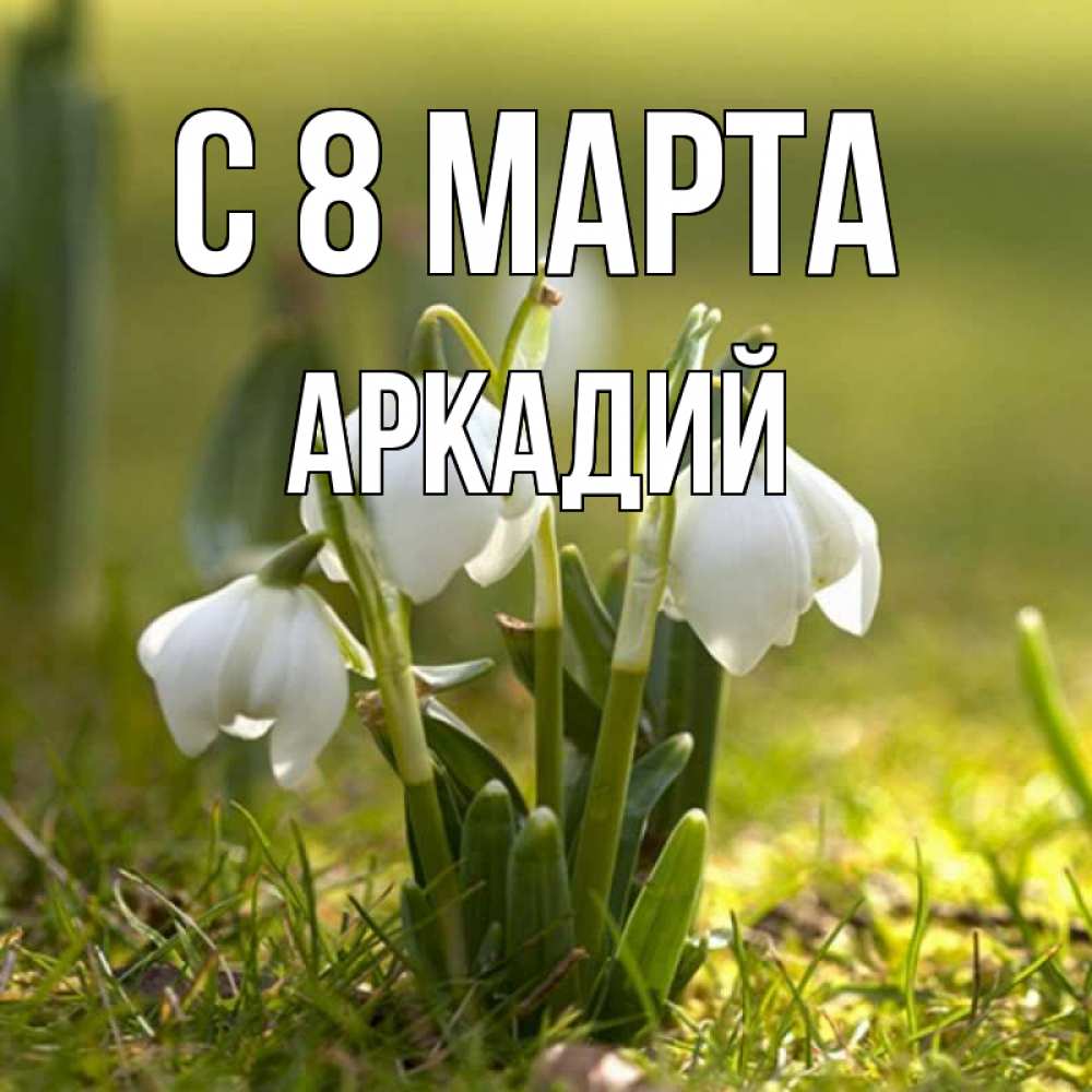 Открытка на каждый день с именем, Аркадий С 8 МАРТА ранние цветы 2 Прикольная открытка с пожеланием онлайн скачать бесплатно 