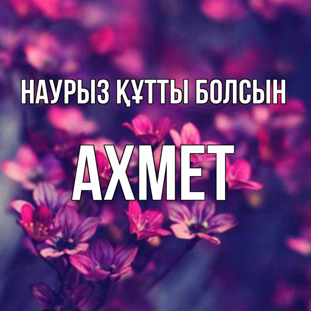 Открытка на каждый день с именем, Ахмет Наурыз құтты болсын небольшие цветы 1 Прикольная открытка с пожеланием онлайн скачать бесплатно 