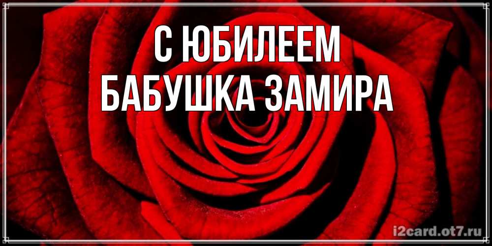 Открытка на каждый день с именем, Бабушка-Замира С юбилеем алая роза Прикольная открытка с пожеланием онлайн скачать бесплатно 