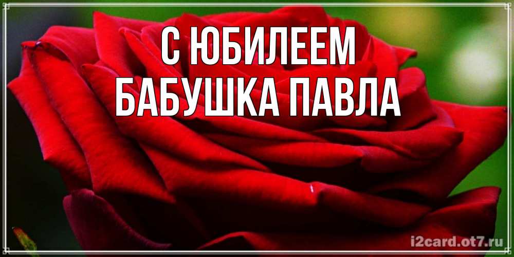 Открытка на каждый день с именем, Бабушка-Павла С юбилеем розочка очень красивая Прикольная открытка с пожеланием онлайн скачать бесплатно 