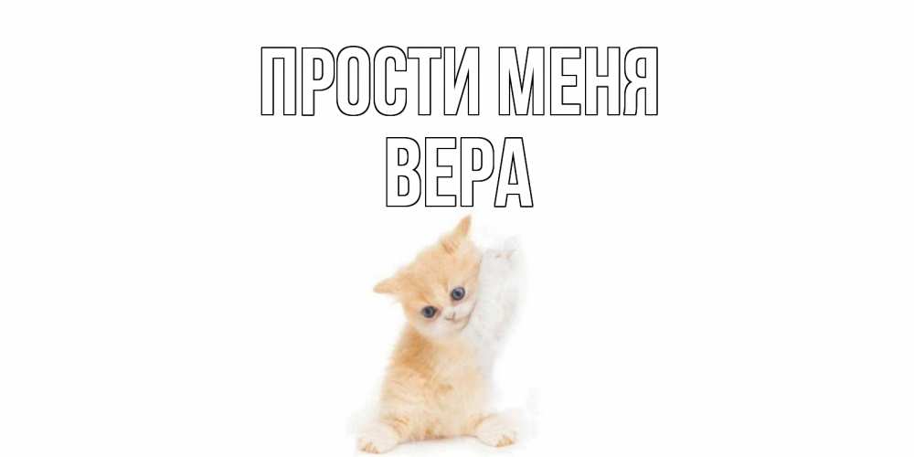 Открытка на каждый день с именем, Вера Прости меня кот Прикольная открытка с пожеланием онлайн скачать бесплатно 
