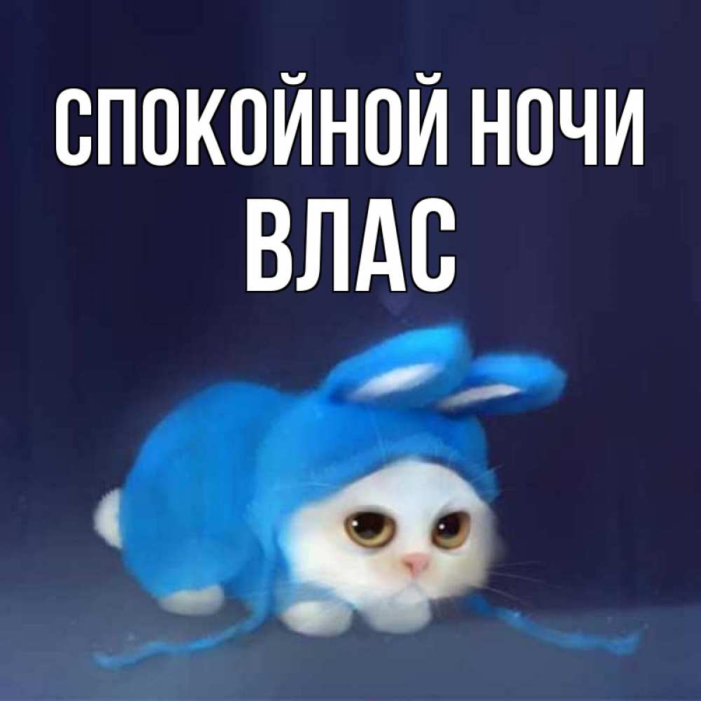 Открытка на каждый день с именем, Влас Спокойной ночи кот в голубом костюме кролика с ушками Прикольная открытка с пожеланием онлайн скачать бесплатно 