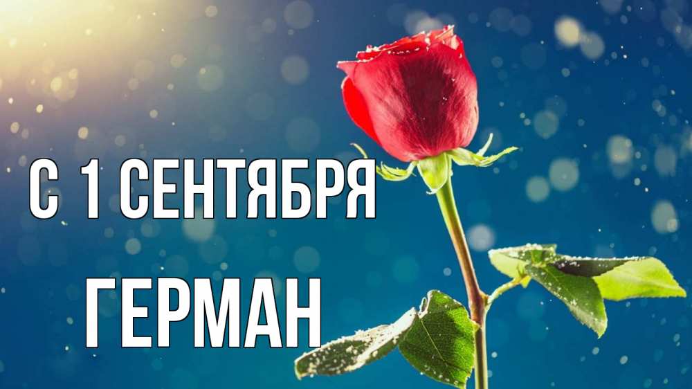 Открытка на каждый день с именем, Герман С 1 сентября с днем знаний Прикольная открытка с пожеланием онлайн скачать бесплатно 