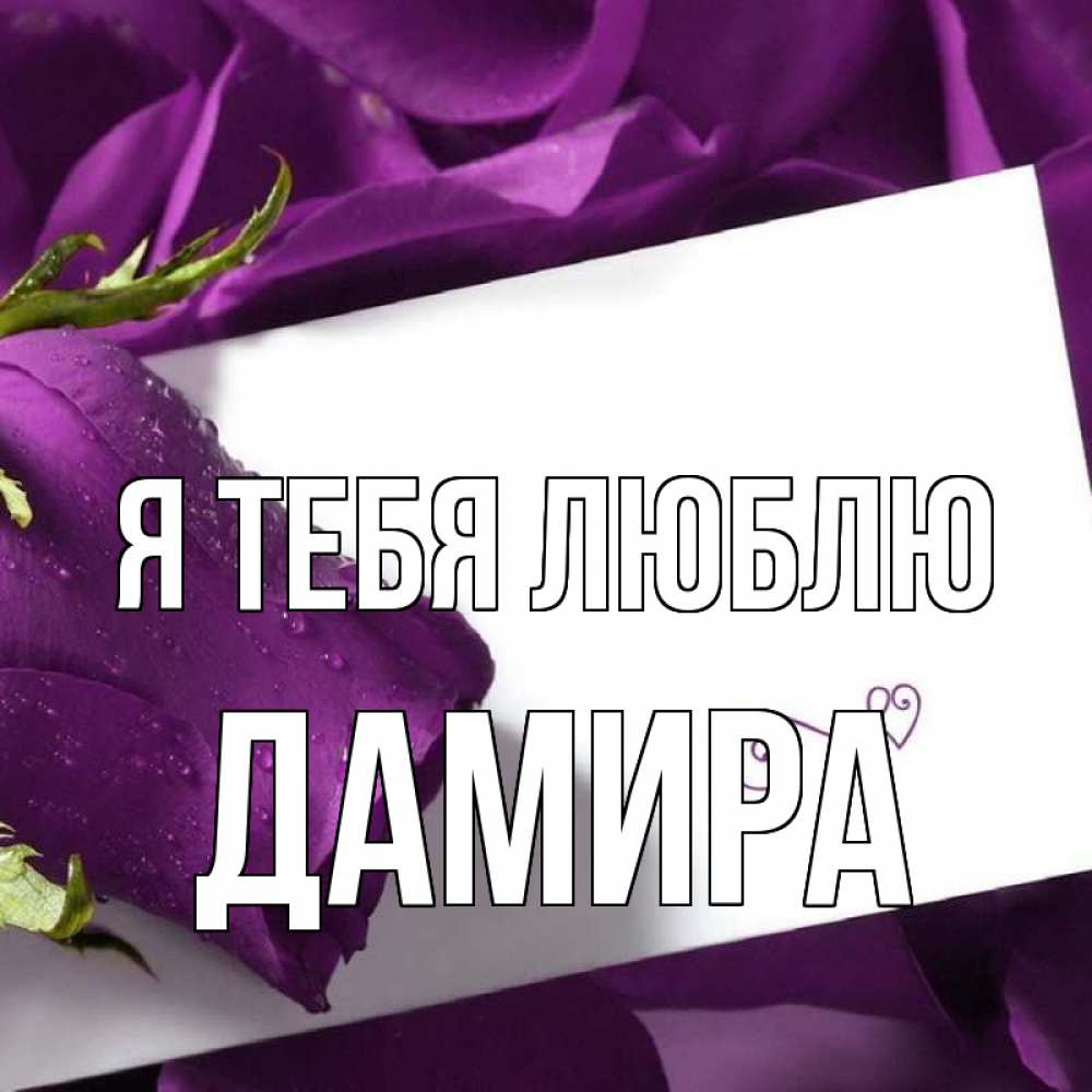 Открытка на каждый день с именем, Дамира Я тебя люблю роза Прикольная открытка с пожеланием онлайн скачать бесплатно 