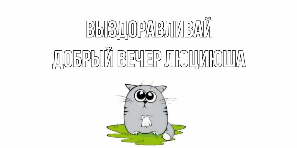 Открытка на каждый день с именем, Добрый-вечер-Люциюша Выздоравливай кот и открытки про выздоровление Прикольная открытка с пожеланием онлайн скачать бесплатно 
