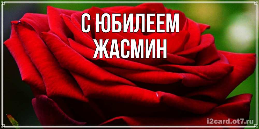 Открытка на каждый день с именем, Жасмин С юбилеем розочка очень красивая Прикольная открытка с пожеланием онлайн скачать бесплатно 