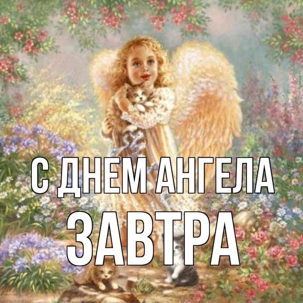Открытка на каждый день с именем, Завтра С днем ангела держит котенка Прикольная открытка с пожеланием онлайн скачать бесплатно 