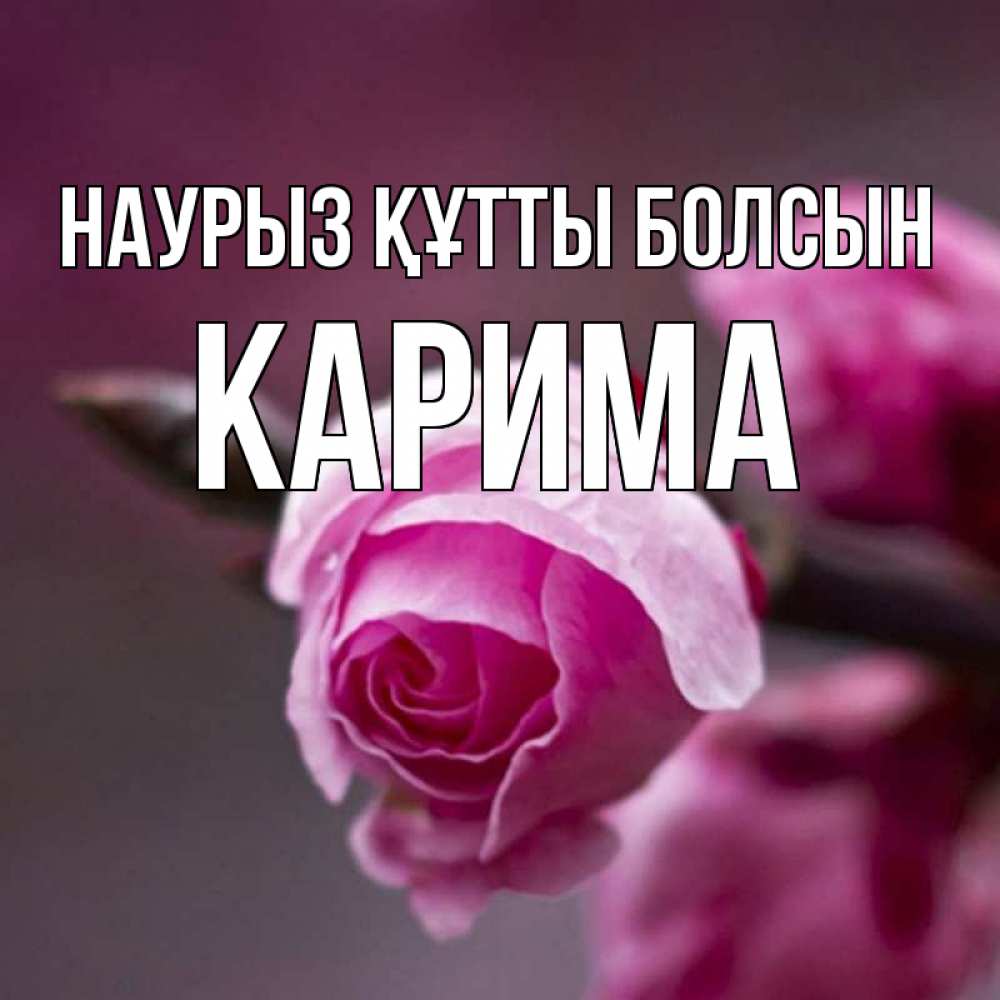 Открытка на каждый день с именем, Карима Наурыз құтты болсын весна Прикольная открытка с пожеланием онлайн скачать бесплатно 