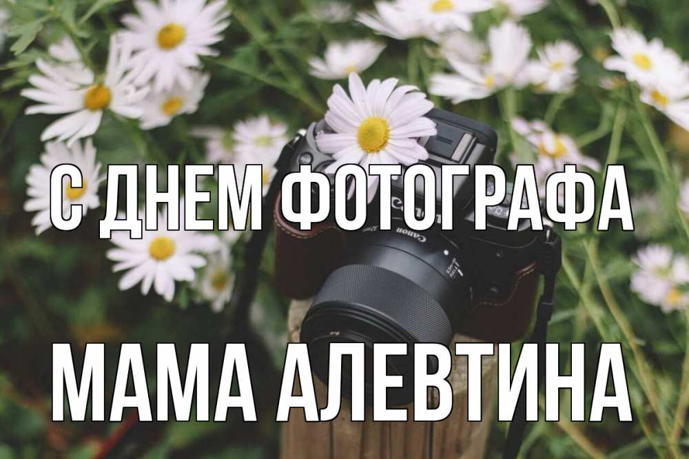Открытка на каждый день с именем, Мама-Алевтина С днем фотографа с днем фотографа Прикольная открытка с пожеланием онлайн скачать бесплатно 