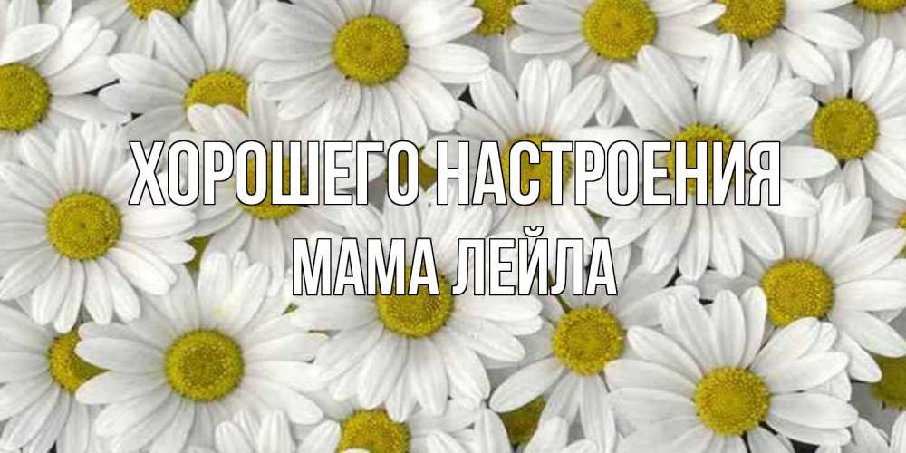 Открытка на каждый день с именем, Мама-Лейла Хорошего настроения поляна ромашек Прикольная открытка с пожеланием онлайн скачать бесплатно 