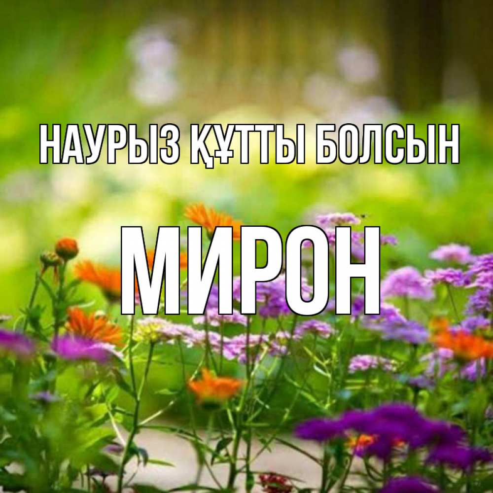 Открытка на каждый день с именем, Мирон Наурыз құтты болсын цветы Прикольная открытка с пожеланием онлайн скачать бесплатно 