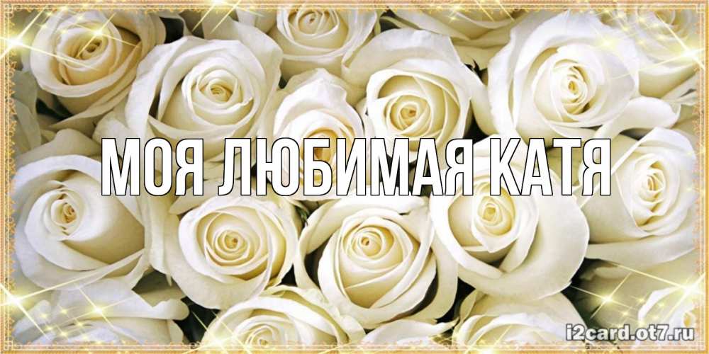 Открытка на каждый день с именем, Моя-любимая-Катя Главная открытка с белыми розами. большой букет белых роз Прикольная открытка с пожеланием онлайн скачать бесплатно 