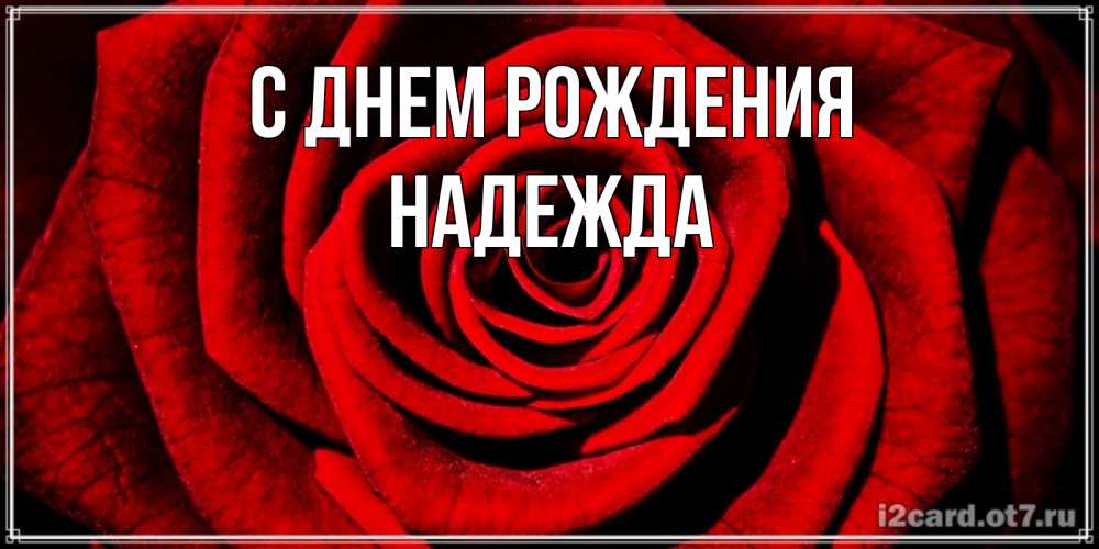 Открытка на каждый день с именем, НАДЕЖДА С днем рождения алая роза Прикольная открытка с пожеланием онлайн скачать бесплатно 