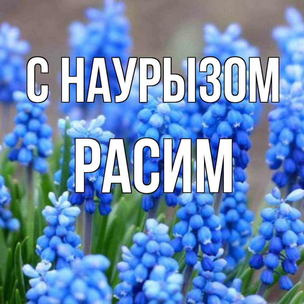 Открытка на каждый день с именем, Расим С наурызом Поздравительная открытка для женщин с цветами на праздничную дату Прикольная открытка с пожеланием онлайн скачать бесплатно 