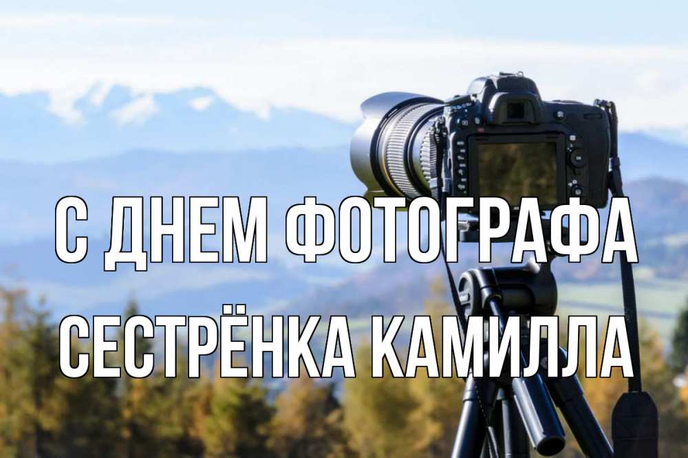 Открытка на каждый день с именем, Сестрёнка-Камилла С днем фотографа с днем фотографа Прикольная открытка с пожеланием онлайн скачать бесплатно 