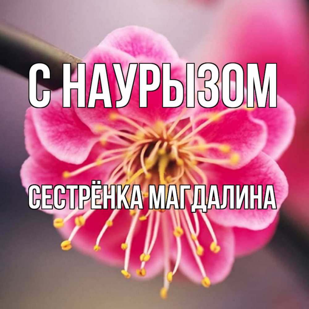 Открытка на каждый день с именем, Сестрёнка-Магдалина С наурызом цветы Прикольная открытка с пожеланием онлайн скачать бесплатно 