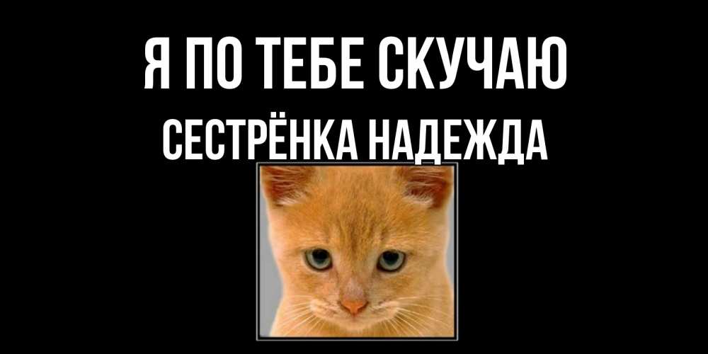 Открытка на каждый день с именем, Сестрёнка-Надежда Я по тебе скучаю открытки рыжий котенок скучает по тебе Прикольная открытка с пожеланием онлайн скачать бесплатно 