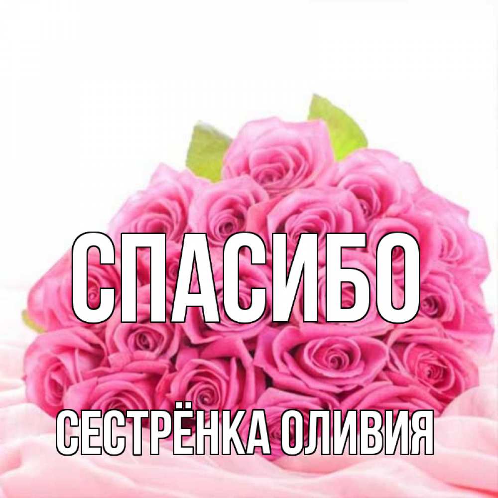 Открытка на каждый день с именем, Сестрёнка-Оливия Спасибо розовые розы с подписью Прикольная открытка с пожеланием онлайн скачать бесплатно 