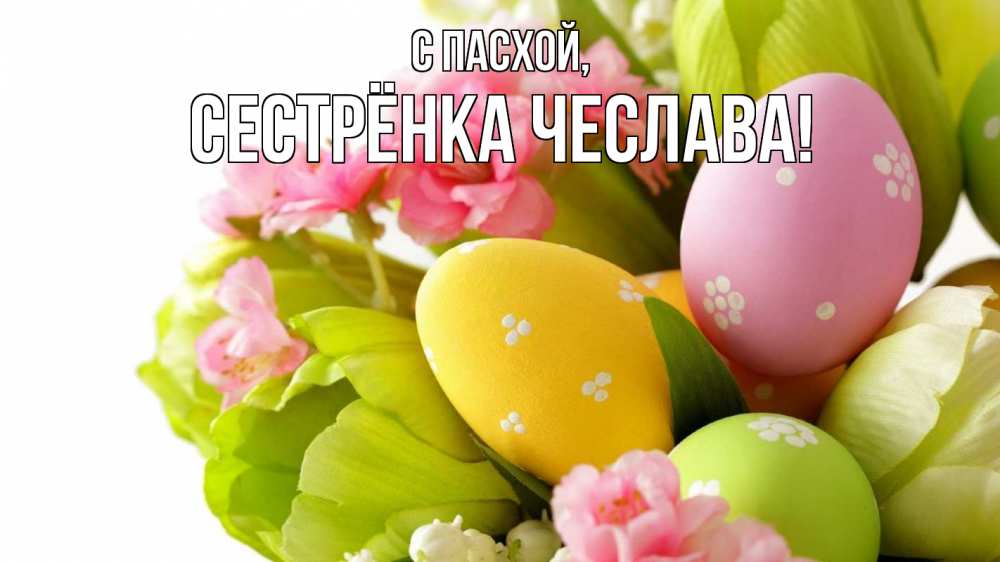 Открытка на каждый день с именем, Сестрёнка-Чеслава С пасхой пасха Прикольная открытка с пожеланием онлайн скачать бесплатно 
