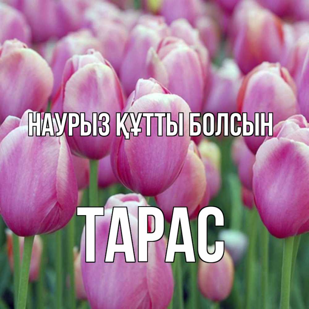 Открытка на каждый день с именем, Тарас Наурыз құтты болсын на наурыз  день 3 Прикольная открытка с пожеланием онлайн скачать бесплатно 