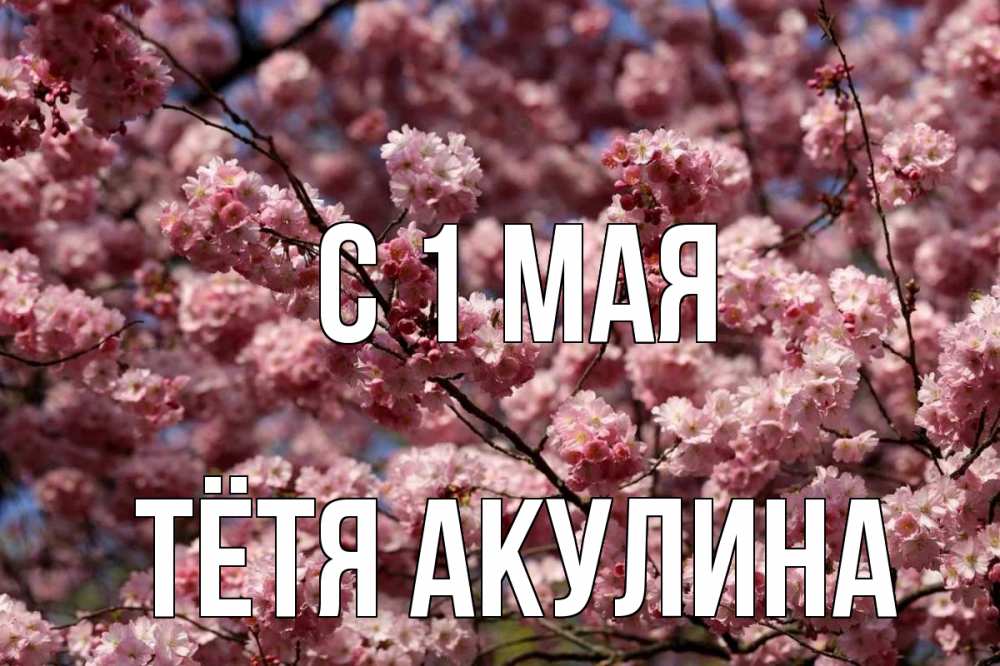 Открытка на каждый день с именем, Тётя-Акулина С 1 мая С 1 мая Прикольная открытка с пожеланием онлайн скачать бесплатно 
