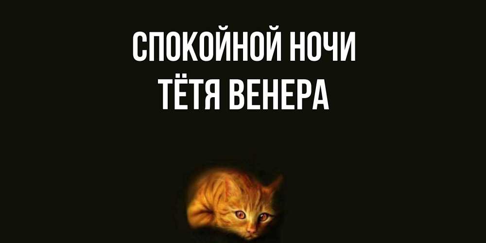 Открытка на каждый день с именем, Тётя-Венера Спокойной ночи кот Прикольная открытка с пожеланием онлайн скачать бесплатно 