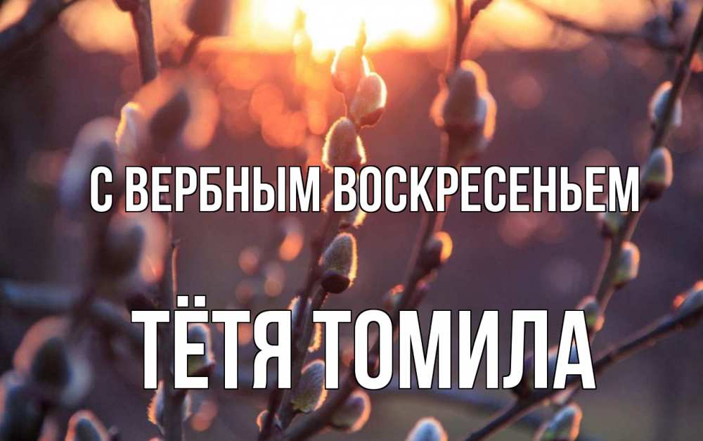 Открытка на каждый день с именем, Тётя-Томила С вербным воскресеньем верба Прикольная открытка с пожеланием онлайн скачать бесплатно 