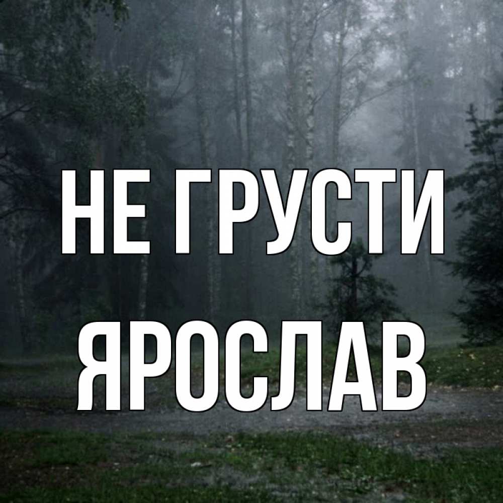 Открытка на каждый день с именем, Ярослав Не грусти осень Прикольная открытка с пожеланием онлайн скачать бесплатно 
