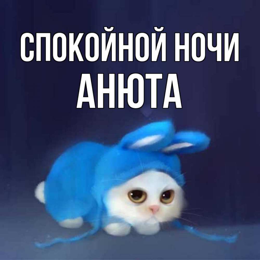 Открытка на каждый день с именем, анюта Спокойной ночи кот в голубом костюме кролика с ушками Прикольная открытка с пожеланием онлайн скачать бесплатно 