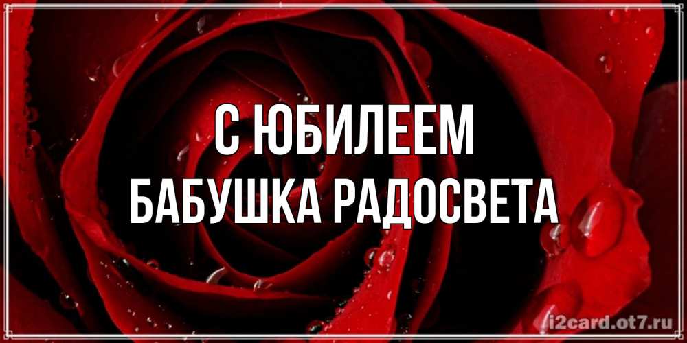 Открытка на каждый день с именем, Бабушка-Радосвета С юбилеем крупная бордовая роза Прикольная открытка с пожеланием онлайн скачать бесплатно 