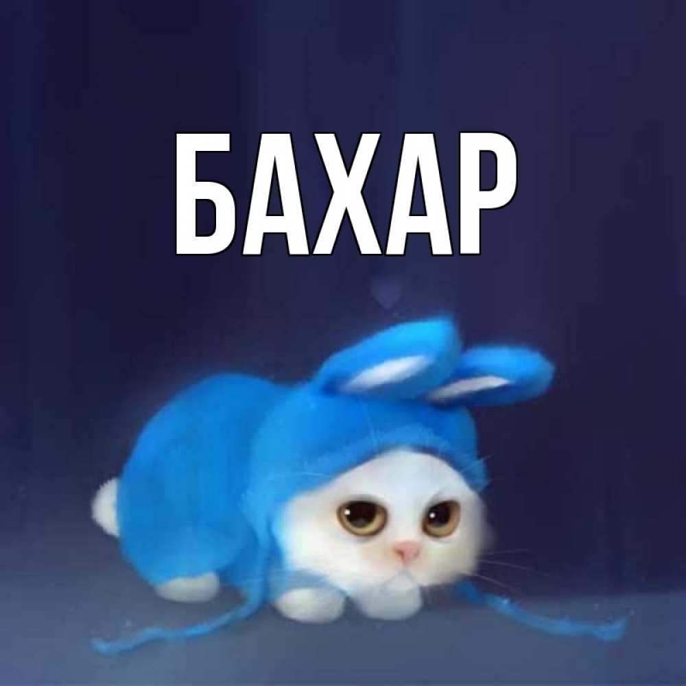 Открытка на каждый день с именем, Бахар Главная невинный котозай просит прощения Прикольная открытка с пожеланием онлайн скачать бесплатно 