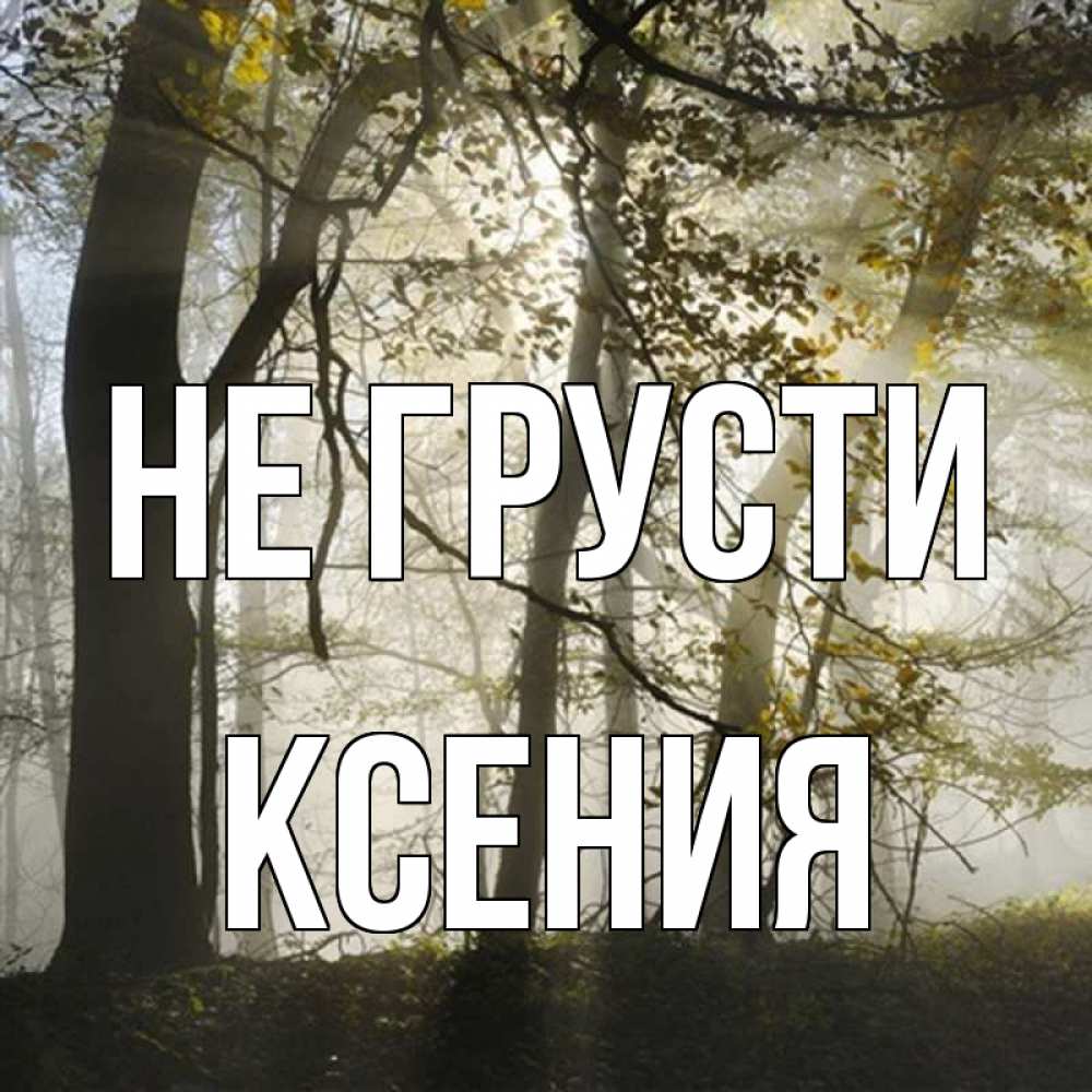 Открытка на каждый день с именем, Ксения Не грусти лес и свет Прикольная открытка с пожеланием онлайн скачать бесплатно 