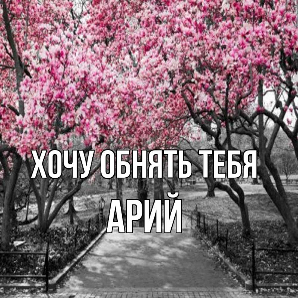 Открытка на каждый день с именем, Арий Хочу обнять тебя обработанное фото Прикольная открытка с пожеланием онлайн скачать бесплатно 