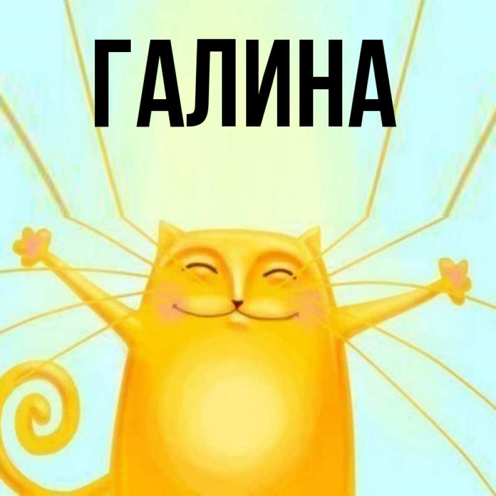 Открытка на каждый день с именем, Галина Главная обнимашки усатые Прикольная открытка с пожеланием онлайн скачать бесплатно 