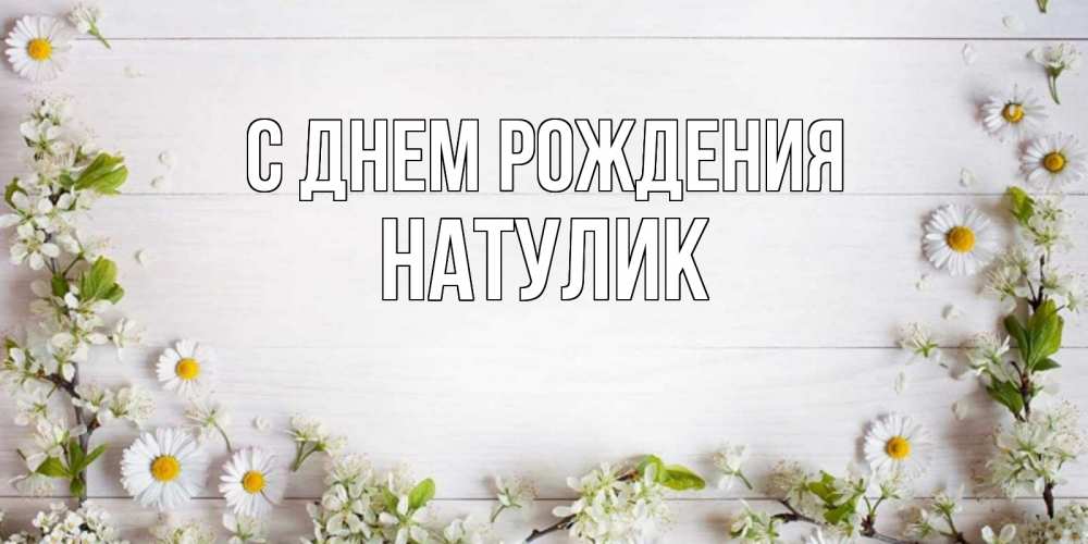 Открытка на каждый день с именем, Натулик С днем рождения Воздушные шары Прикольная открытка с пожеланием онлайн скачать бесплатно 